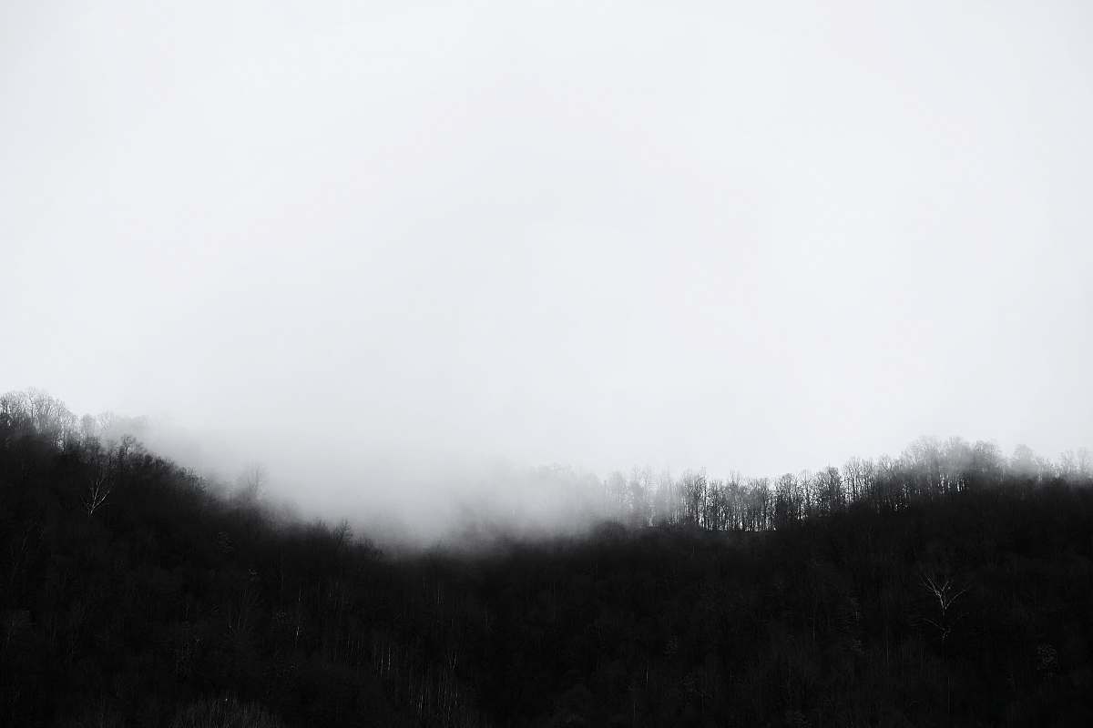 jacksonburg pitstop green trees under white clouds at daytime jacksonburg